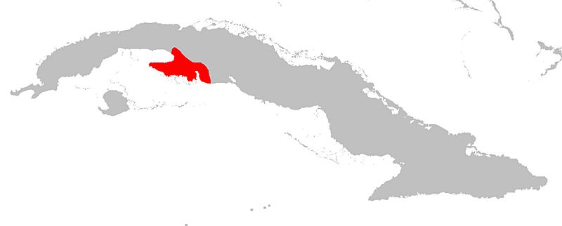 Mesocapromys nana Map