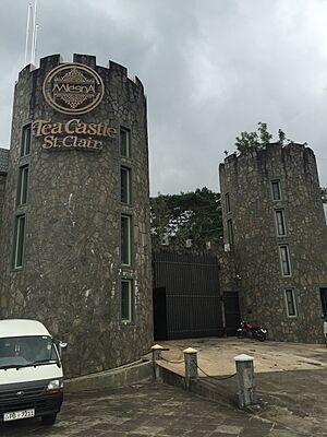 Mlesna tea castle