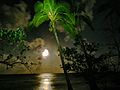 Moonlight over Bingil Bay boat ramp, 2011