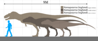 Nanuqsaurus hoglundi size chart.png