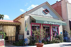 New-braunfels-tx(krause-building)2016-2