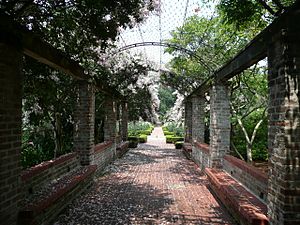New Orleans Botanical Garden Walkway