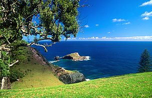 Norfolk Island Bird Rock