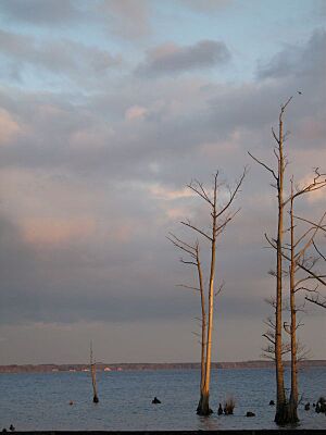 Pasquotankriver