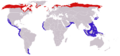 Phalaropus lobatus distribution