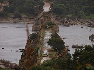 Ponte da Ajuda - vista longitudinal