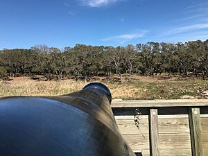 Present Day Land Face of Fort Fisher