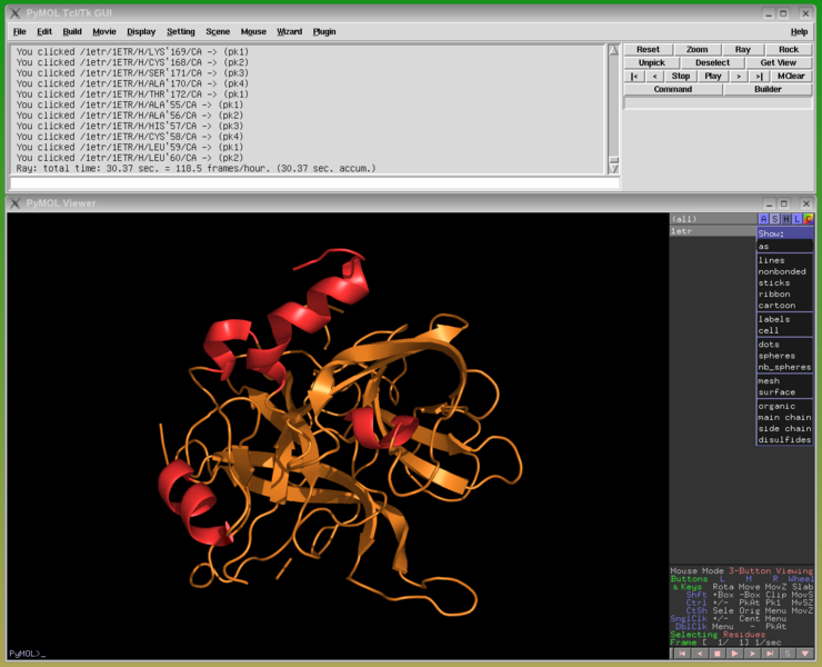 PyMOL large