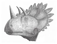 Regaliceratops peterhewsi.jpg