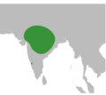 Salpornis spilonotus map