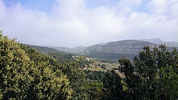 Sierra de Gúdar, Teruel (Spain).jpg
