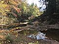 Sipsey Wilderness 2016 6