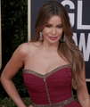 Sofia Vergara at Golden Globes Red Carpet 2020