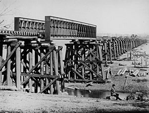 StateLibQld 1 103526 Condamine River Railway Bridge, Warwick district, 1882