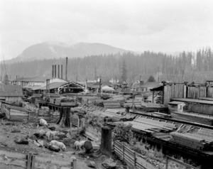 Stockyards and sawmill at Barneston, 1911 (43139269970)