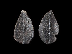 Struthiosaurus (8062141412).jpg