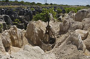 The site of secondary mining of Phosphate rock in Nauru, 2007. Photo- Lorrie Graham (10729889683)