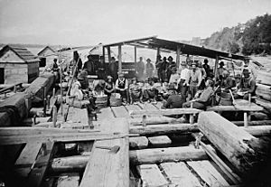Timber raft 1880