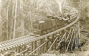 Train of Logs, circa 1910 - Fernwood, Idaho (14517201611)