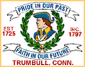 Trumbull flag