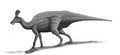 Tsintaosaurus-spinorhinus-steveoc86