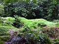 Tumulus in the Forest (geograph 4157287)