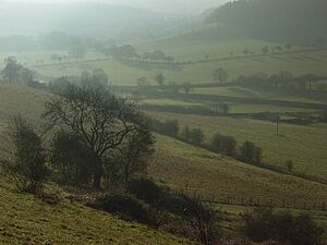 Turville Hill - geograph.org.uk - 295207