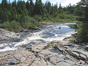 Upper Goose Falls, Sturgeon River