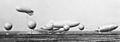 Usn-airships (cropped)