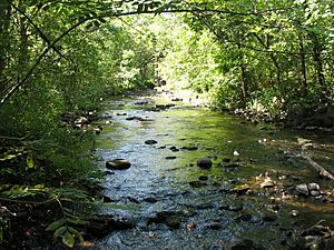Watabcreeksartell