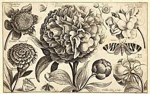 Wenceslaus Hollar00