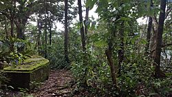 World War II encampments on American Samoa