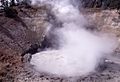 Yellowstone mud volcano 17894