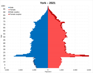 York population pyramid