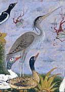 "The Concourse of the Birds", Folio 11r from a Mantiq al-tair (Language of the Birds) MET DT227736