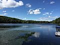 2015-08-20 15 30 20 View north across Big Bowman Pond in Taborton, New York