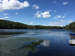 2015-08-20 15 30 20 View north across Big Bowman Pond in Taborton, New York.jpg