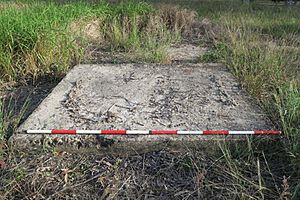 650053 Chimney base (SW concrete slab) of former Pacific Islander Hospital building, from north (EHP, 2017)