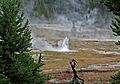 A-0 Geyser eruption (11-13-11-14 AM, 8 August 2015) 2 (21480081004)