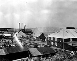 Alaska Packers Association cannery at Egegik, 1917