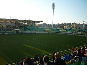 Aldo Drosina Stadium 2011-02-19