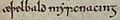 Anglo-Saxon Chronicle - Aethelbald myrcnacing (British Library Cotton MS Tiberius A VI, folio 12r)