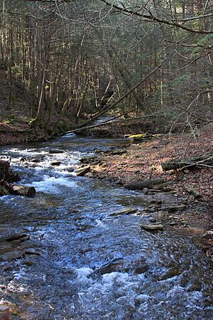 Arnold Creek looking upstream 2