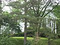 Arrowston, southern side and front
