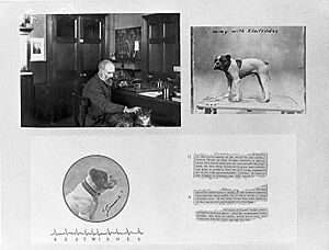 Augustus Desire Waller in his laboratory Wellcome L0011812