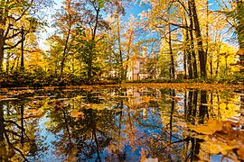Autumn park in Żywiec in the reflection of a puddle