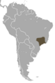 Black-fronted Titi area