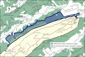 Boundary of the Johns Creek Mountain wildarea as identified by the Wilderness Society