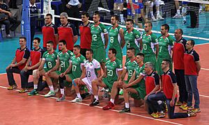 Bulgaria men's national volleyball team 2014