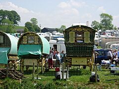 Caravans at Appleby Horse Fair - geograph.org.uk - 461639